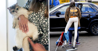 12 Pictures That Prove Reality Can Be Seriously Misleading