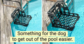 18 People Who Are Perfect at Finding Unconventional Solutions