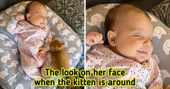19 Photos That Prove Babies and Pets Have a Very Special Bond