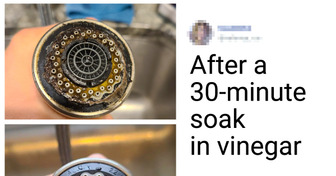 21 Things That Only Needed a Bit of Elbow Grease to Look Their Best Again