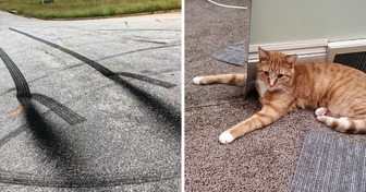 18 Pictures That Can Confuse Even the Most Eagle-Eyed Observers