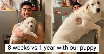 15 People Who Saw Their Baby Pets Grow Up Right Under Their Noses