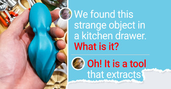 12 Unusual Kitchen Items Whose Purpose Isn’t Easy to Guess