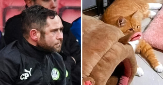 18 Optical Illusions Caught by Accident — No Photoshop Needed